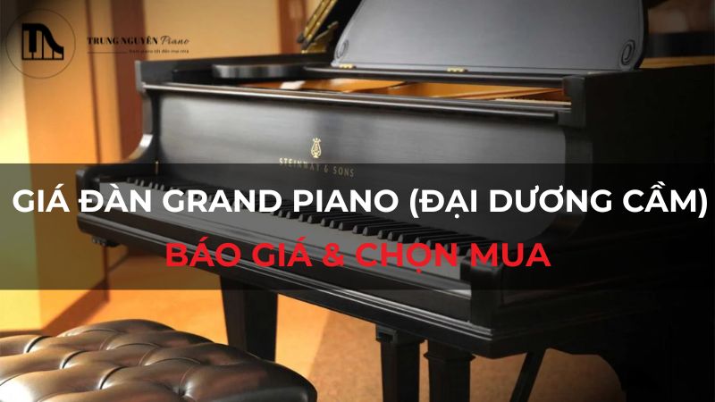 Giá đàn Grand Piano (Đại Dương Cầm): Báo giá & chọn mua