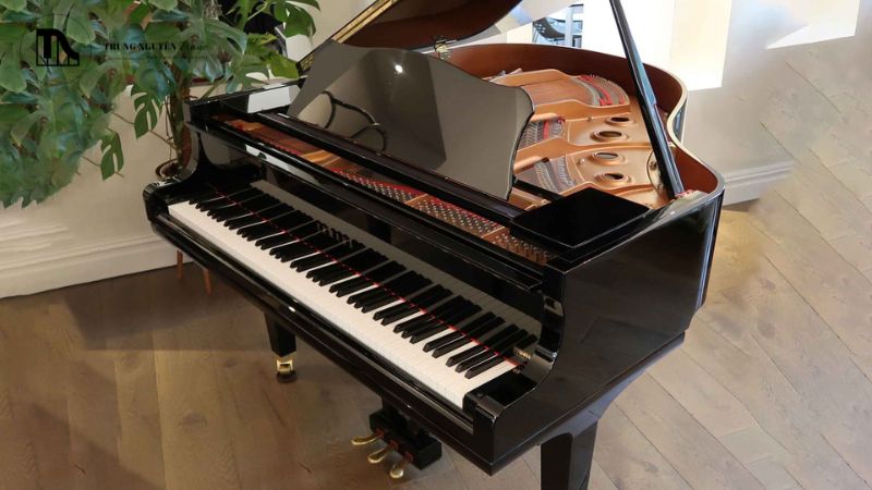 Đàn grand piano từ lâu đã vượt xa vai trò một nhạc cụ đơn thuần để trở thành một tác phẩm nghệ thuật