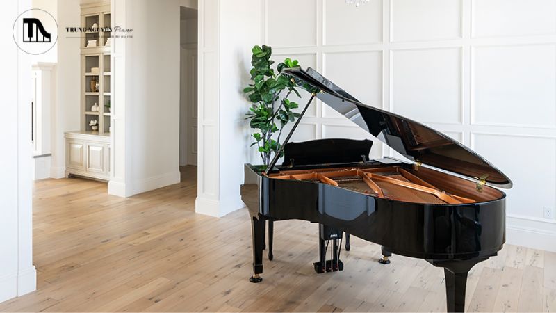 Không khí lưu thông tốt giúp điều hòa nhiệt độ và độ ẩm tự nhiên xung quanh đà