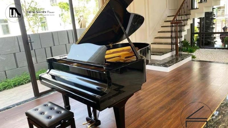 Chất lượng âm thanh truyền cảm và cảm giác phím chân thực