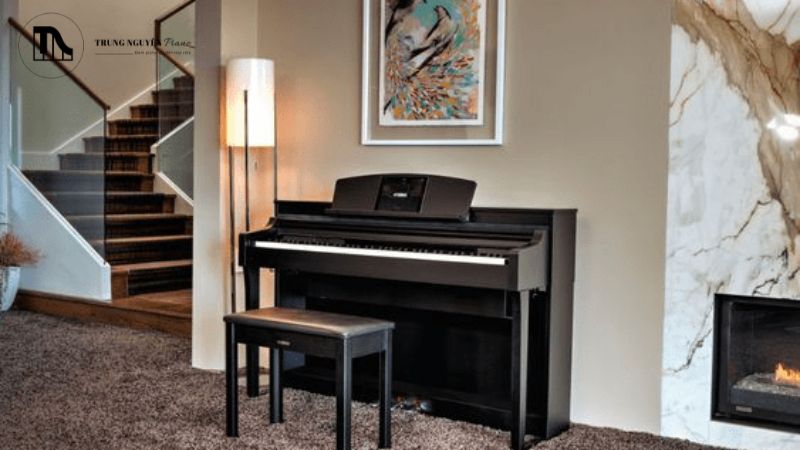 Chọn grand piano cho người mới bắt đầu nên chú ý cảm giác phím