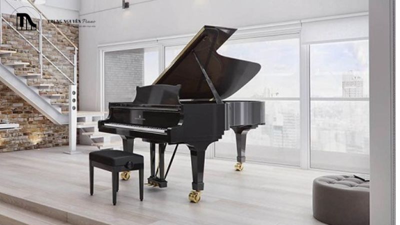 Kích thước lớn đòi hỏi một không gian rất rộng rãi, không chỉ để đặt đàn mà còn để âm thanh có thể lan tỏa tốt