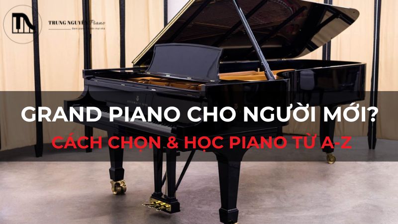 Grand Piano cho người mới? Cách chọn & học piano từ A-Z