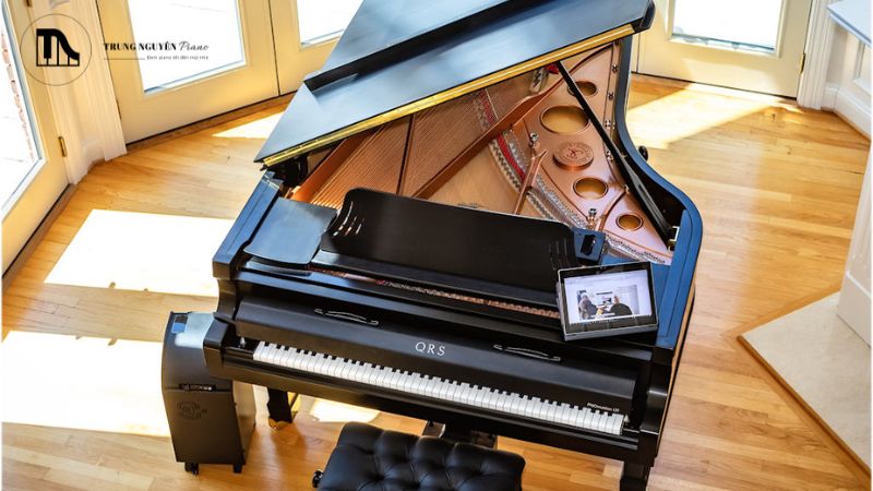 Concert Grand dành cho các phòng hòa nhạc chuyên dụng hoặc những không gian cực lớn