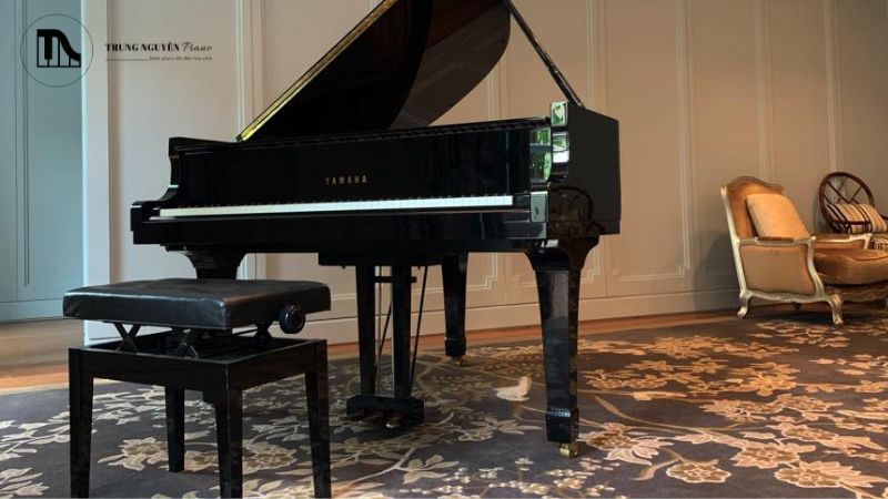 Cho phép đàn tự động phát những bản nhạc được lập trình sẵn, tạo không gian âm nhạc nền liên tục mà không cần nghệ sĩ dương cầm