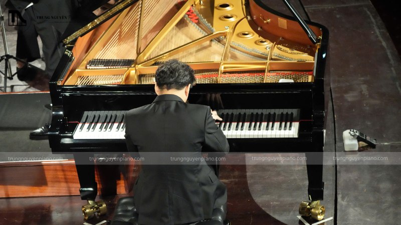 Ngân sách 100 triệu nên chọn Grand Piano cũ hay Upright mới cao cấp? 10 Một nghệ sĩ đang thả hồn vào phím đàn Grand Piano