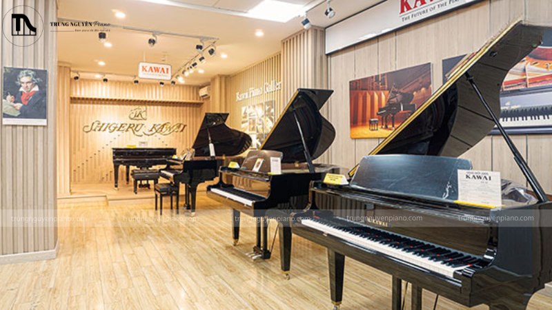 Ngân sách 100 triệu nên chọn Grand Piano cũ hay Upright mới cao cấp? 12 Showroom piano chuyên nghiệp, sáng sủa, trưng bày nhiều loại đàn piano cơ và piano điện