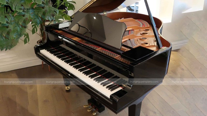 Ngân sách 100 triệu nên chọn Grand Piano cũ hay Upright mới cao cấp? 2 Grand Piano đem đến độ nhạy và độ sâu phím vượt trội