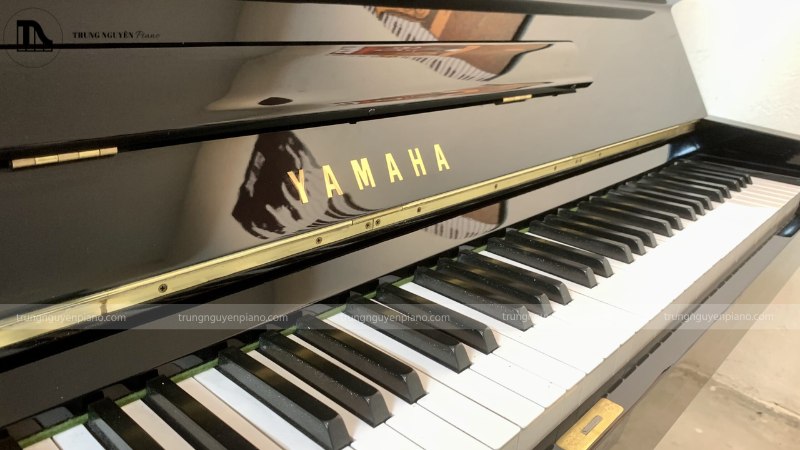 Ngân sách 100 triệu nên chọn Grand Piano cũ hay Upright mới cao cấp? 3 Upright Piano máy đồng đều, phím chắc chắn và nhạy bén