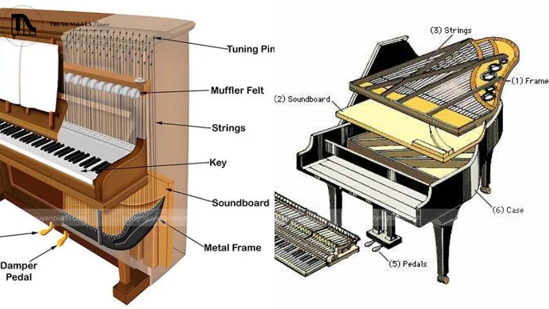 Ngân sách 100 triệu nên chọn Grand Piano cũ hay Upright mới cao cấp? 4 Soundboard của Grand Piano và Upright Piano