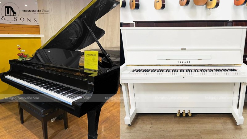 Ngân sách 100 triệu nên chọn Grand Piano cũ hay Upright mới cao cấp? 5 Một cây đàn Grand cũ, bên cạnh một cây Upright mới tinh