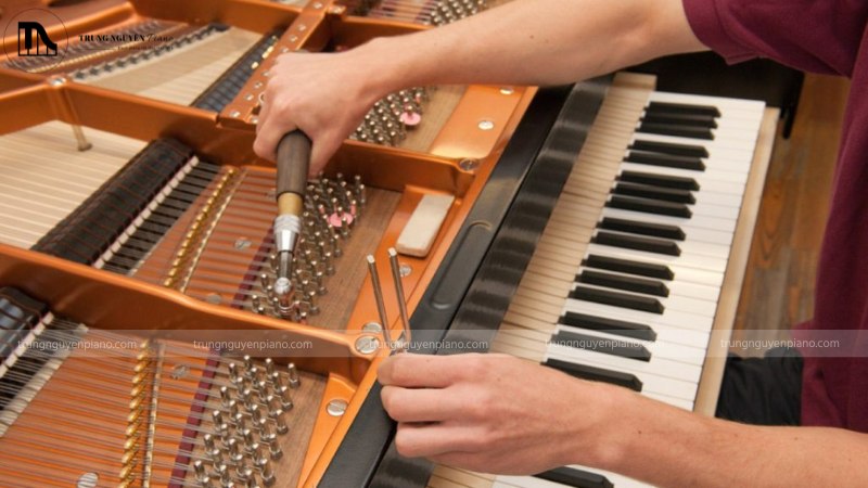 Ngân sách 100 triệu nên chọn Grand Piano cũ hay Upright mới cao cấp? 8 Kỹ thuật viên đang lên dây cho một cây đàn piano cơ