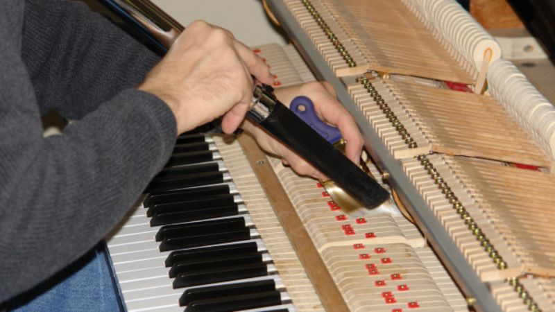 Kiểm tra các chốt pin và dây đàn