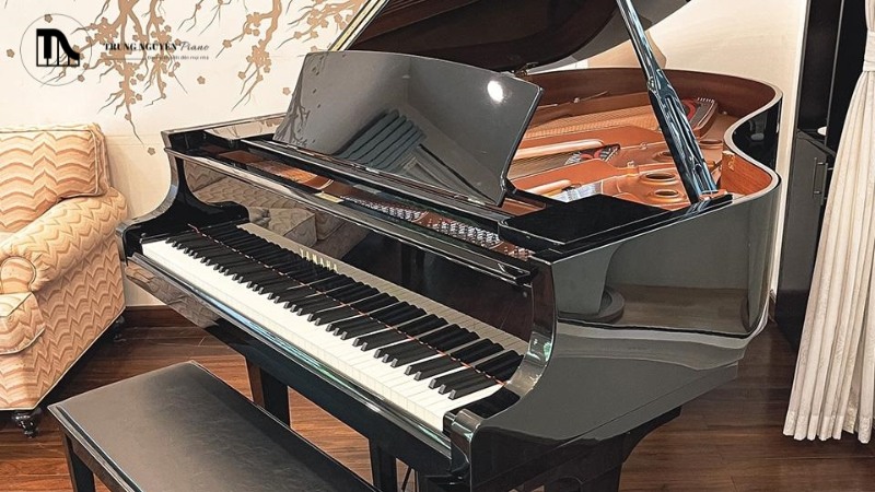 Yamaha GC2M/C1X/C2X cảm giác phím của các model này cũng rất nhạy bén