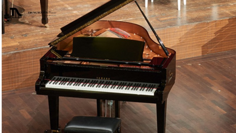 Yamaha C3X, với chiều dài khoảng 186cm