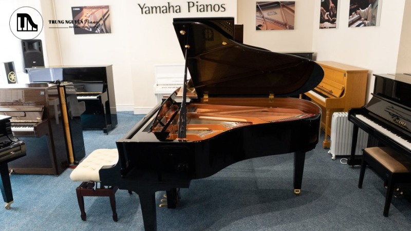 Việc lựa chọn một cây Grand Piano Yamaha phù hợp không chỉ dừng lại ở việc chọn model
