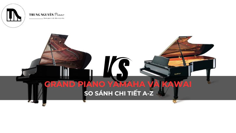 Grand piano Yamaha và Kawai: So sánh chi tiết A-Z