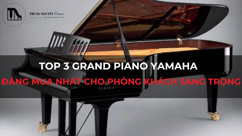 Top 3 grand piano Yamaha: Đáng mua nhất cho phòng khách sang trọng