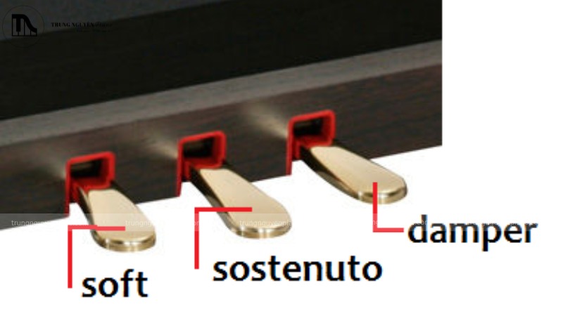 Các mức độ nhấn khác nhau của pedal (On/Off vs Half-Pedal) và hiệu ứng ngân tương ứng