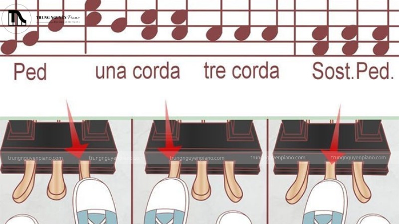 Sơ đồ đơn giản hóa cơ chế cảm biến độ sâu của pedal trong đàn piano điện có Half-Pedal