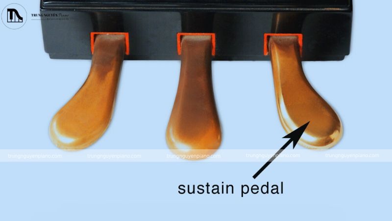 Có sự khác biệt âm thanh giữa hiệu ứng ngân của pedal On/Off và Half-Pedal