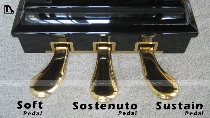 Một pedal unit 3 pedal chất lượng cao của đàn piano điện, có thể thấy rõ pedal sustain (phải)