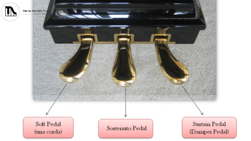 Một bộ 3 pedal của đàn piano điện với chú thích: Pedal Trái (Soft), Pedal Giữa (Sostenuto), Pedal Phải (Sustain - hỗ trợ Half-Pedal)
