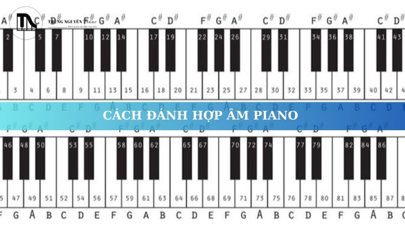 Một hợp âm là sự kết hợp của ít nhất ba nốt nhạc vang lên cùng lúc