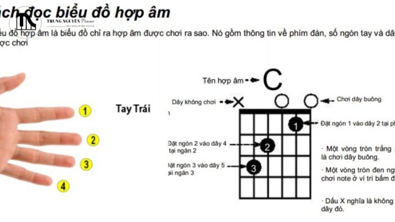 Nguyên lý cấu tạo hợp âm