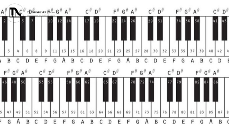 Học nhạc, đặc biệt là ghi nhớ và làm chủ hợp âm