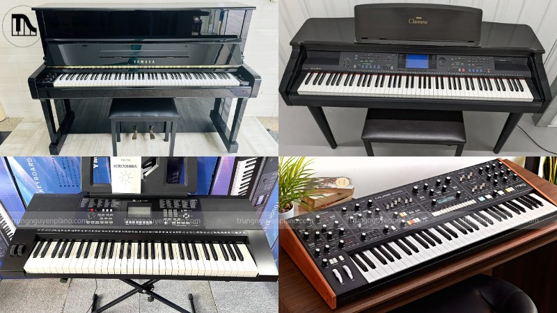 So sánh Piano, Digital Piano, Organ và Synthesizer đặt cạnh nhau