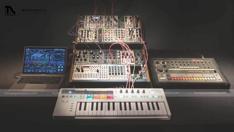 Synthesizer đa dạng từ kiểu dáng đến giá cả