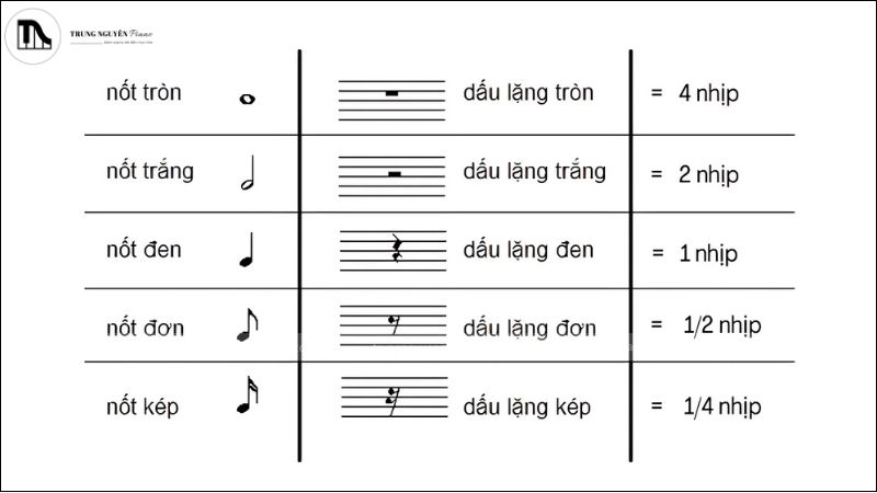 Vai trò im lặng (Silence) trong Âm nhạc: Hơn cả khoảng trống 2 Các loại dấu lặng phổ biến