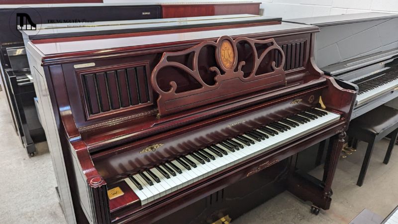 Cảm giác phím là yếu tố cực kỳ quan trọng, ảnh hưởng trực tiếp đến trải nghiệm chơi đàn.