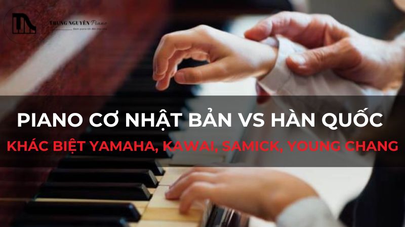 Piano cơ Nhật Bản vs Hàn Quốc: Khác biệt Yamaha, Kawai, Samick, Young Chang
