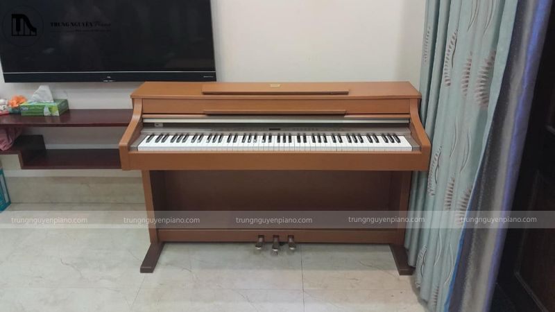 Khi nào nên liên hệ dịch vụ vận chuyển đàn chuyên nghiệp