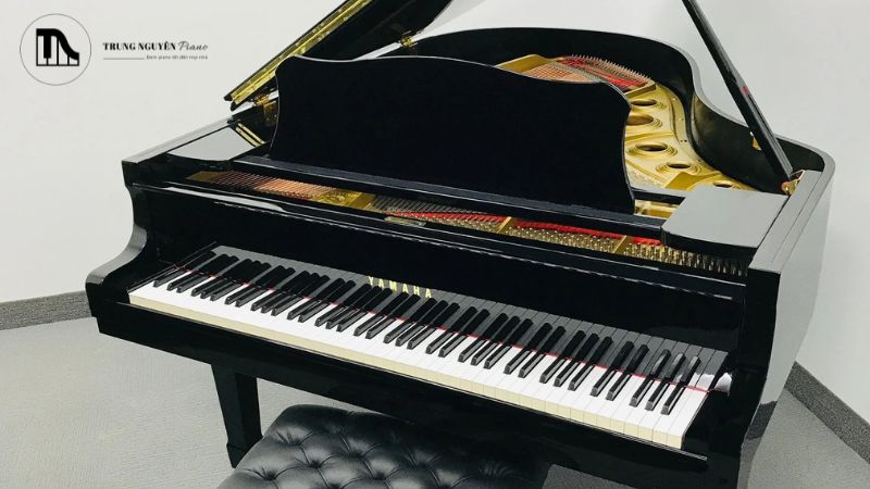 Kích thước đàn grand piano ảnh hưởng trực tiếp và sâu sắc đến chất lượng âm thanh