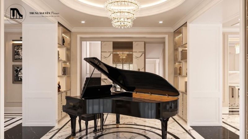 Baby Grand hoặc Medium Grand thường là đủ cho người mới bắt đầu đến trình độ trung cấp