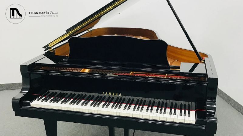 Petit Grand là dòng grand piano nhỏ nhất, với chiều dài thường dưới 1m50