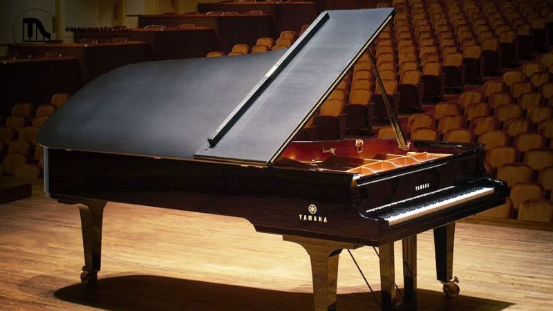 Professional có kích thước lớn hơn, thường từ 1m85 đến 1m98 (khoảng 6 feet 1 inch đến 6 feet 6 inches)