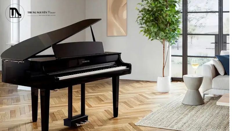 Semi-Concert Grand là lựa chọn cho các không gian biểu diễn lớn hơn