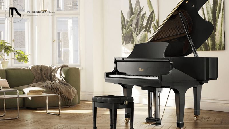 Concert Grand có kích thước lớn nhất từ 2m70 (khoảng 9 feet) trở lên.
