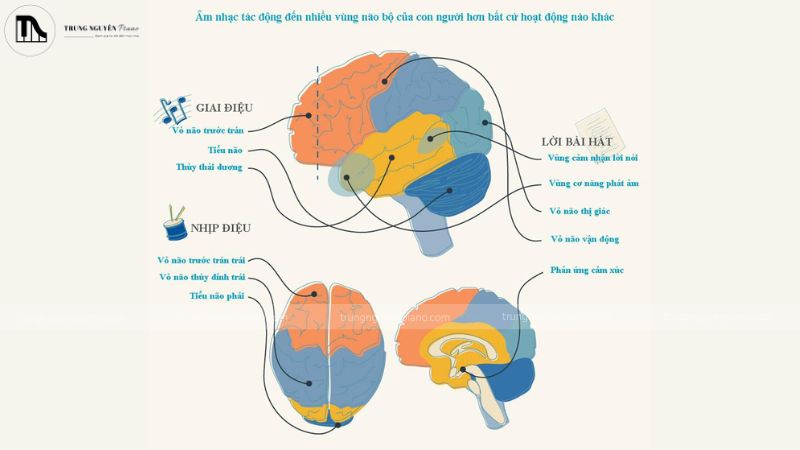 Âm nhạc từ việc học piano đánh thức khả năng tư duy và phát triển não bộ vượt trội