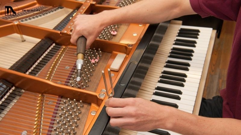 Lên dây piano cơ định kỳ
