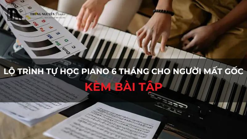 Lộ trình tự học Piano 6 tháng cho người mất gốc: Kèm bài tập