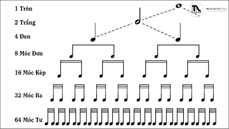 Hướng dẫn luyện tai nghe nhạc hiệu quả cho người học piano/guitar 2 Perfect Pitch giúp nhận biết nốt đơn lẻ tức thì, trong khi Relative Pitch rèn khả năng cảm âm theo mối quan hệ giữa các nốt
