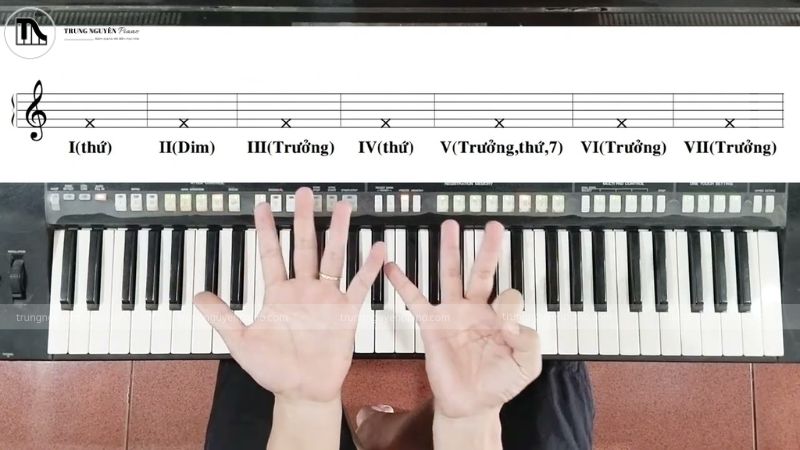 Modes âm nhạc: Hiểu & ứng dụng điệu thức trên piano/guitar hiệu quả 3 7 Điệu thức cơ bản được xây dựng từ Âm giai Trưởng