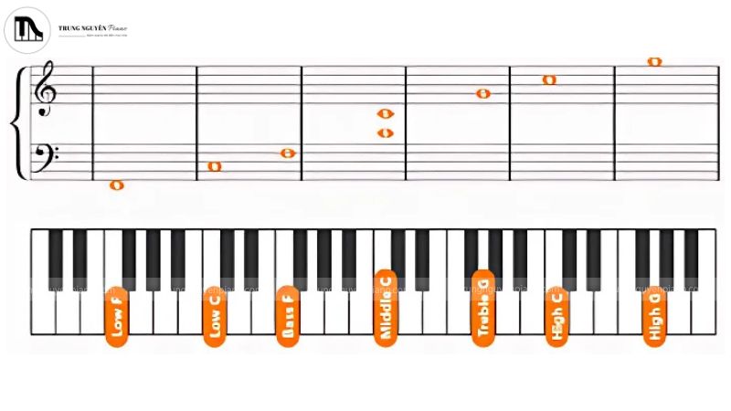 Modes âm nhạc: Hiểu & ứng dụng điệu thức trên piano/guitar hiệu quả 11 Khám phá cách xây dựng và nhận biết các điệu thức để làm chủ giai điệu và sáng tạo âm nhạc theo cách của bạn.