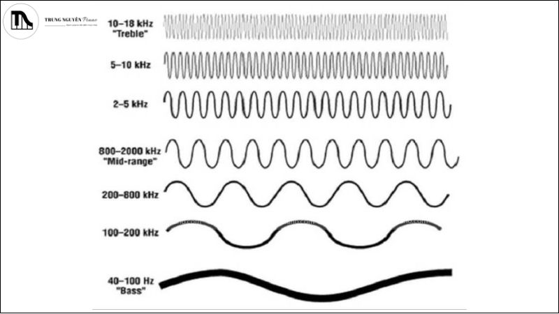 Mối liên hệ âm nhạc và toán học: Sự kết nối bất ngờ ít người biết đến 7 Âm nhạc và toán học gặp nhau ở cấu trúc, mẫu hình và logic – nơi cái đẹp được xây dựng từ trật tự và quy luật.