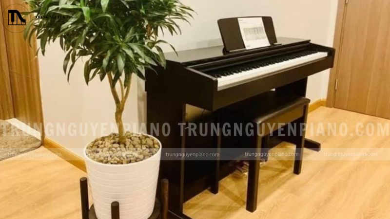 Quan hệ giữa Polyphony, Hammer Action và Sound Engine